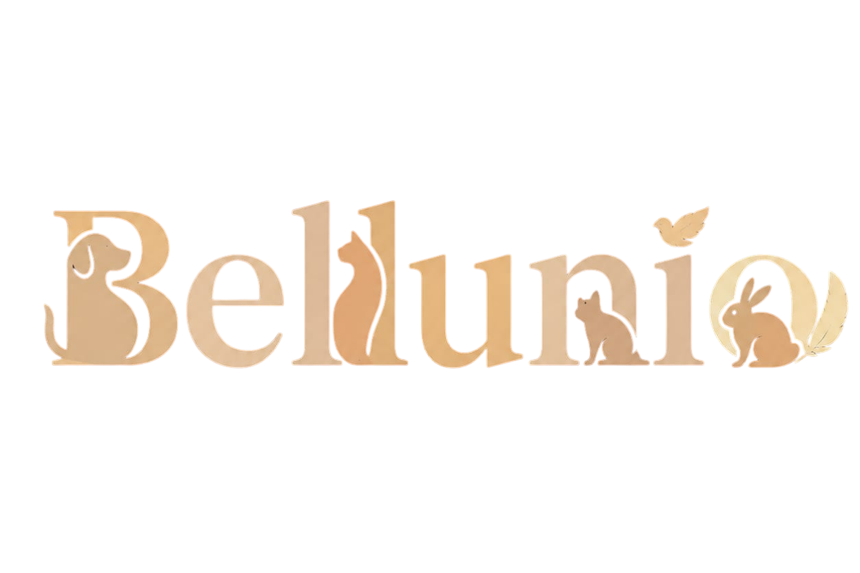 Bellunio