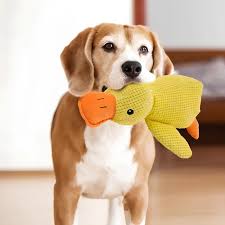 honden knuffel voor groeiende tanden